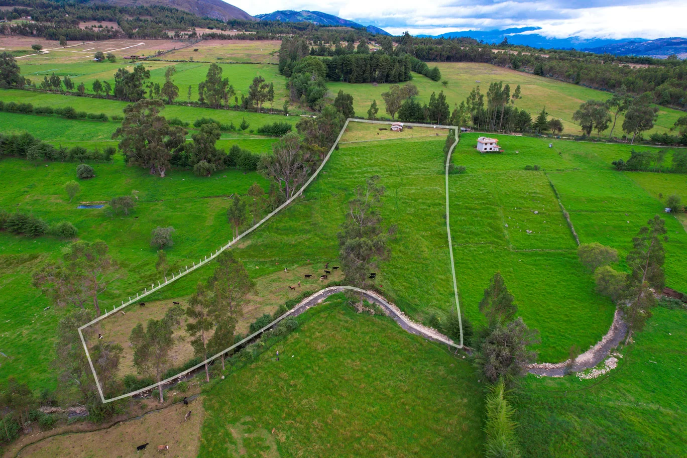 Terreno-en-venta-cajamarca-polloc01