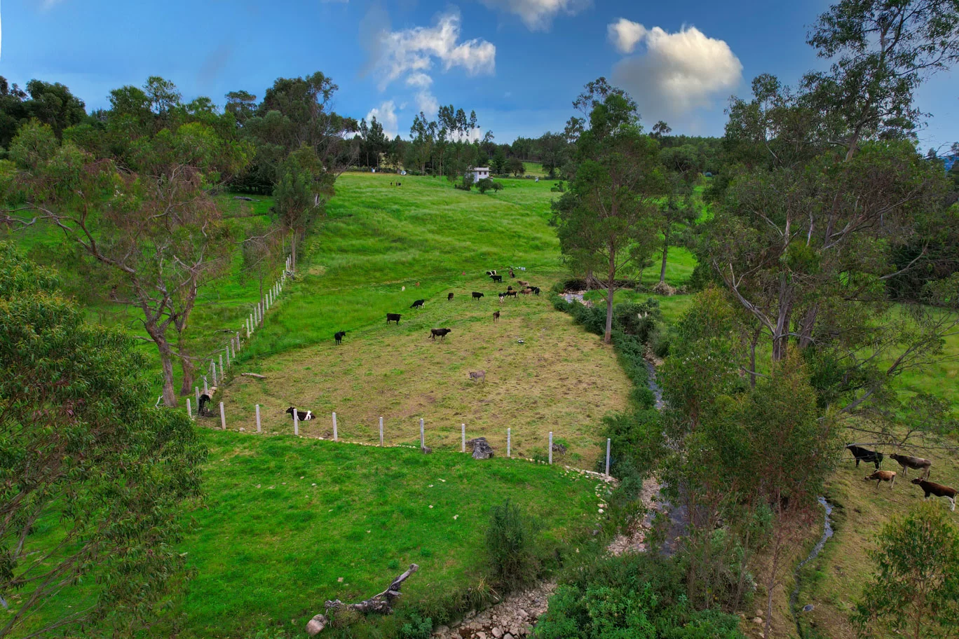 Terreno-en-venta-cajamarca-polloc02